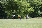 OTFL Gallery Image